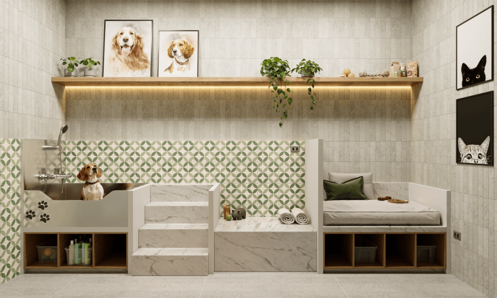 Pet Spa Espacio Común